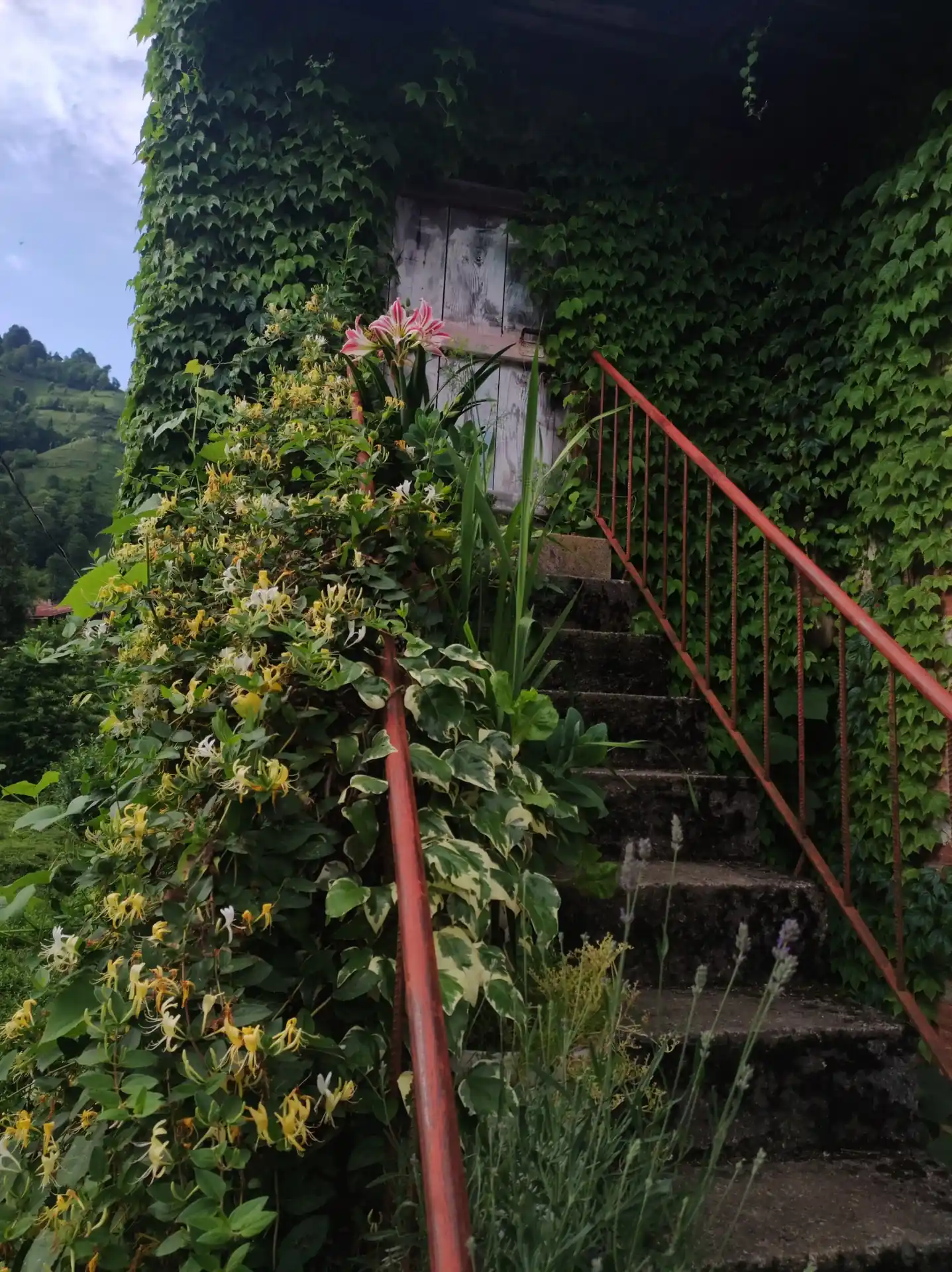 Otel Görünüm